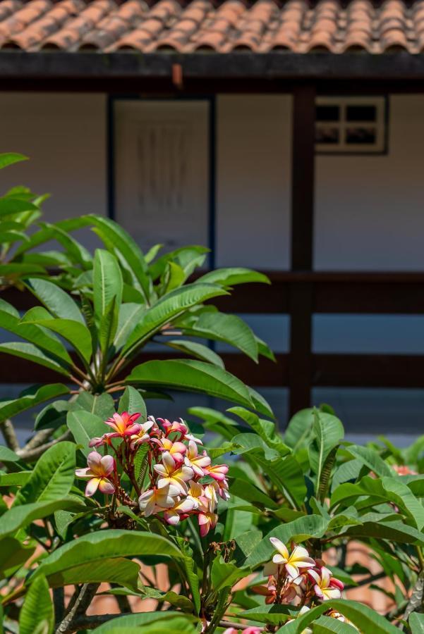 Villa Alexandre Pousada - Trancoso Zewnętrze zdjęcie